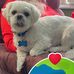 Tammy Wink - Facebook