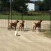 Tammy Winslow - Facebook