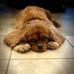 Tammy Winslow - Facebook