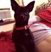 Tammy Winstead - Facebook