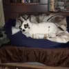 Tamara Wolff428 - @tamarawolff1 - TikTok