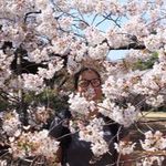 Tamara Wong - @tamtamster09 - Instagram