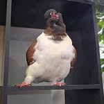 Tamara Woolford - @woolfordtamara - Instagram