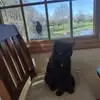 Tamara Woolford - @tamara.woolford6 - TikTok