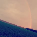 @tamara.wutzelwald - Instagram