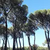 tamarayan - @tamarayan - TikTok