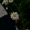 Tamara🌷🦋 - @tamarayousef81 - TikTok