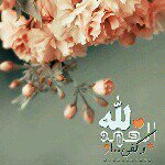 Tamara yousef - @tamara.yousef - Instagram
