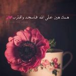 Tamara yousef - @yousef.tamara - Instagram