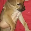 Tamara Zarate - @._.tamari - TikTok
