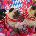 Tamara Zimmer - @tamarazimmer991 - Instagram