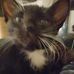 Tamara Zook Callahan - Facebook