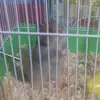Tamara Zoran - @tamarazoran - TikTok