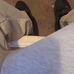Demarcus Porter - Facebook