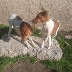 Tamás Jonás - @tamas.jonas.965 - Instagram