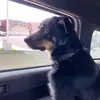 Tamberlyn - @tamberlyn2020 - TikTok