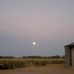 Tamaki Farms - Facebook