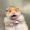 @ - @tameeka.smith - TikTok