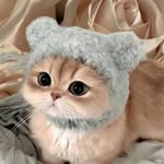 Rodina Tamer Ramadan Embaby - @rodinatamerramadan - Instagram