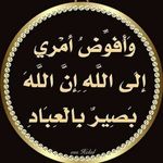 Tamer Riad Gabr - @tamer.gabr.90 - Instagram