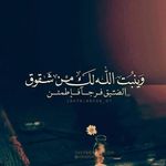 Tamer Riad Lawyer - @tamerriad911 - Instagram