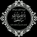 Tamer Ahmed - @tamersaad29 - Instagram