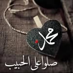 Tamer Shfek Saad - @tamer.saad.77 - Instagram