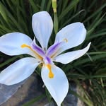 Tamara Curry Spivey - @tamaracurryspivey - Instagram