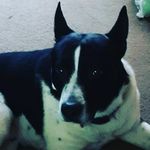 Tamera Gibson - @tamera.gibson.798 - Instagram