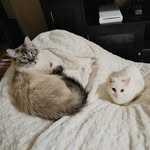 Tamera Kaufman - @tamkauf612 - Instagram