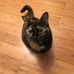 Tamara Manning - Facebook
