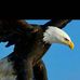 Tandra Mcbride - Facebook