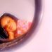 Tamara Mitchell - Facebook