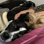 Tamara Olson - @tamara_olson_art - Instagram