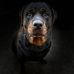 Tamara Pearson - Facebook