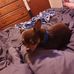 Tamara Phillips - Facebook