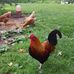 Tamara Ramey - Facebook