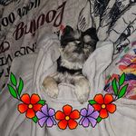 Tamra Rice - @dangerouslygoodone - Instagram