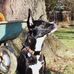 Tamara Robb - Facebook