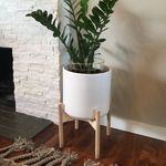 Tamara & Ryan Berndt - @pottedconcepts - Instagram