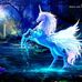 Tamara Ryan - Facebook
