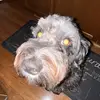 Tamera Ryan - @tameraryan628 - TikTok