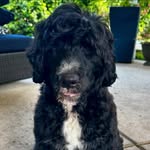 Tamera Simpson Bishop - @tamera_ann77 - Instagram