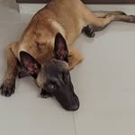 Tamia - @tamia.belga - Instagram