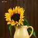 Tami Adam - Facebook