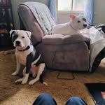 Tami Adams - @tamiadams672 - Instagram