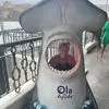 Tami Adams - @tami.adams6 - TikTok
