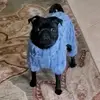 tamiadams388 - @tamiadams388 - TikTok