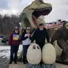 Tammi Albert - @flyeaglesfly8490 - TikTok