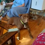 Tami Alexander - Facebook